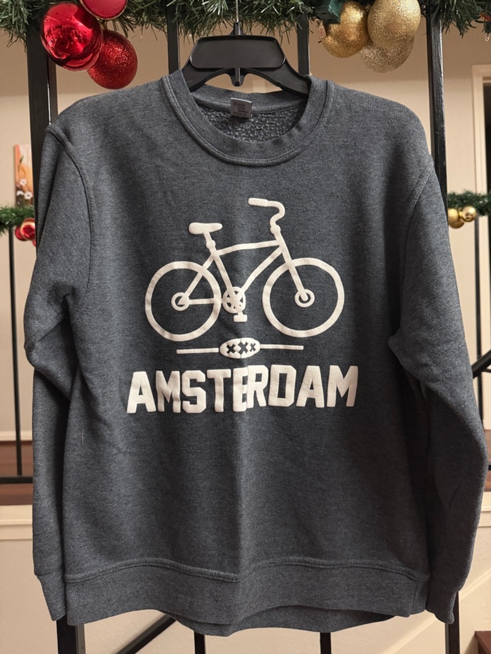 Amsterdam Graphic Crewneck Sweatshirt - Gray